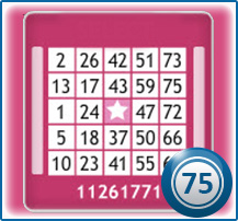 Bingo Spiel mit 75 Bällen