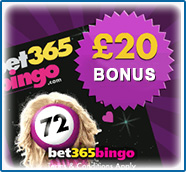 Bingo Online Spielen Kostenlos