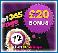 Bei Bet365 Bingo spielen Online