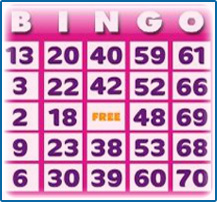 75 Ball Bingo Regeln